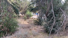 Enlarge photo 258