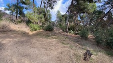 Enlarge photo 261