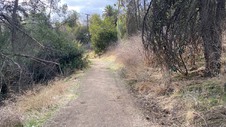 Enlarge photo 264