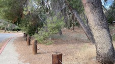 Enlarge photo 266