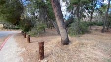 Enlarge photo 267