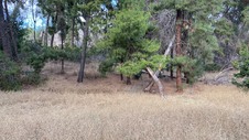 Enlarge photo 271