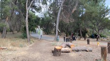 Enlarge photo 272