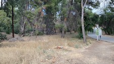 Enlarge photo 273