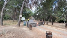 Enlarge photo 275