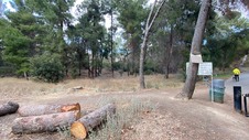 Enlarge photo 276