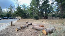 Enlarge photo 277