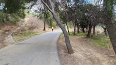 Enlarge photo 278