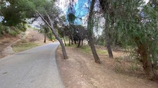 Enlarge photo 279