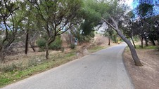 Enlarge photo 280