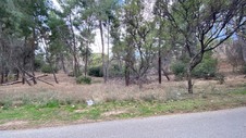 Enlarge photo 281