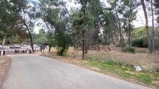 Enlarge photo 282