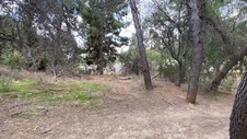 Enlarge photo 284