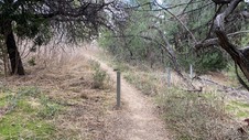 Enlarge photo 286