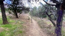Enlarge photo 287