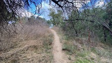 Enlarge photo 288