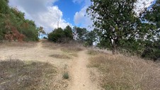 Enlarge photo 289
