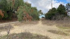 Enlarge photo 291