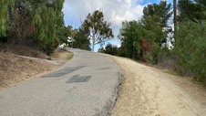 Enlarge photo 292
