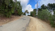 Enlarge photo 293