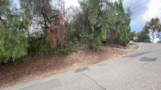 Enlarge photo 294