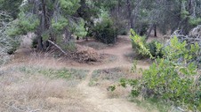 Enlarge photo 296