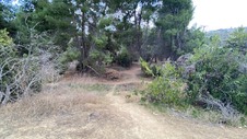 Enlarge photo 297