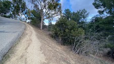 Enlarge photo 298