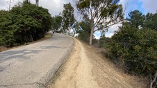 Enlarge photo 299