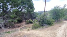 Enlarge photo 300
