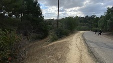 Enlarge photo 302