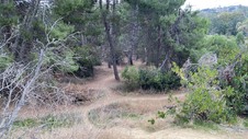 Enlarge photo 304