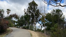 Enlarge photo 306