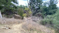 Enlarge photo 308