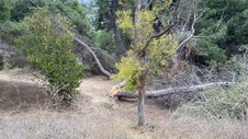 Enlarge photo 309