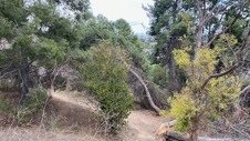 Enlarge photo 310