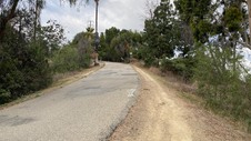 Enlarge photo 311