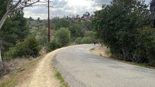 Enlarge photo 312