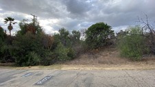 Enlarge photo 315