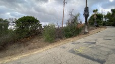 Enlarge photo 316