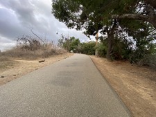 Enlarge photo 319