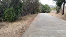 Enlarge photo 323