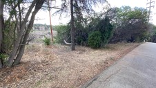 Enlarge photo 324