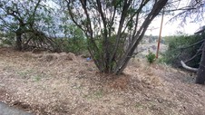 Enlarge photo 325