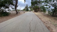 Enlarge photo 327