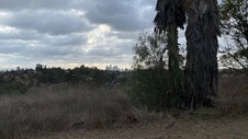Enlarge photo 328