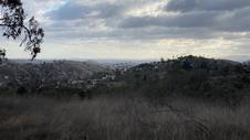 Enlarge photo 329