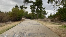 Enlarge photo 331