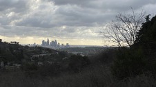 Enlarge photo 334