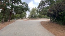 Enlarge photo 337